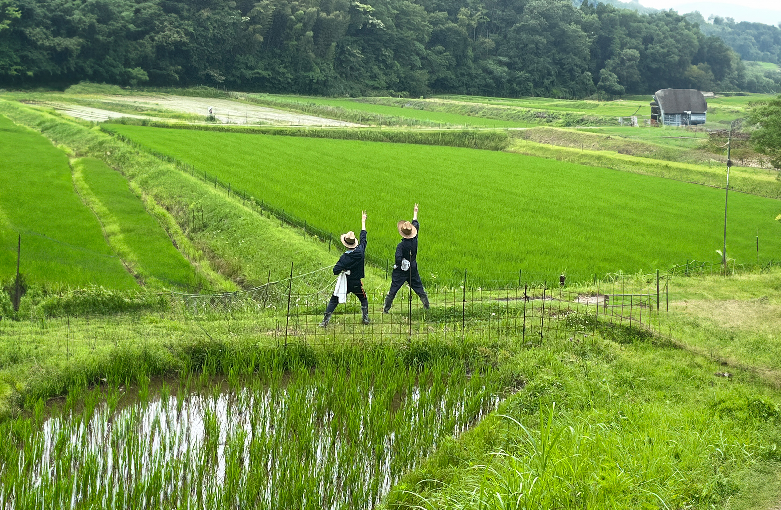 神戸大学大学院農学研究科地域連携センター