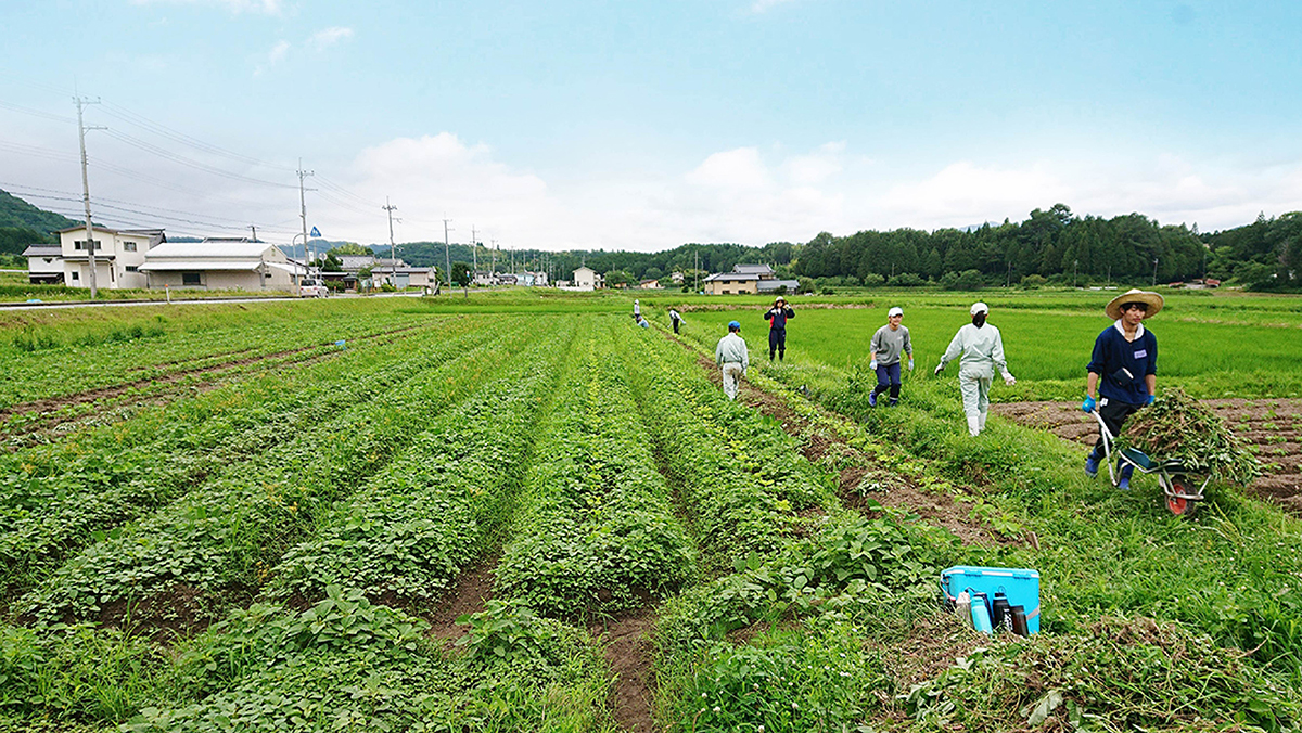 神戸大学大学院農学研究科地域連携センター