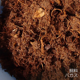 食資源教育研究センターphoto