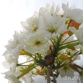 食資源教育研究センターphoto