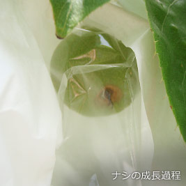 食資源教育研究センターphoto