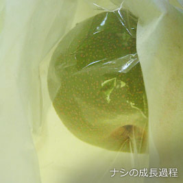 食資源教育研究センターphoto