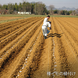 食資源教育研究センターphoto