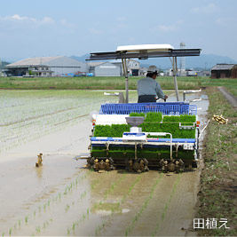 食資源教育研究センターphoto