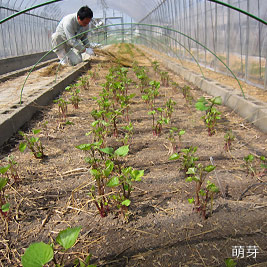 食資源教育研究センターphoto