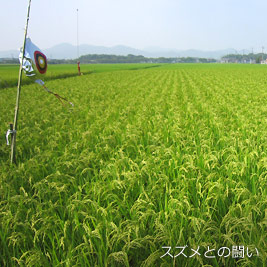 食資源教育研究センターphoto