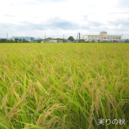 食資源教育研究センターphoto