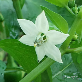 食資源教育研究センターphoto