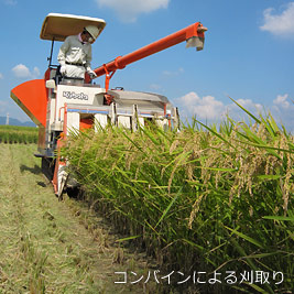 食資源教育研究センターphoto