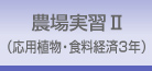 農場実習 2 -応用植物・食料経済3年