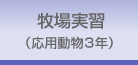 農場実習 -応用動物3年