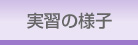 実習の様子