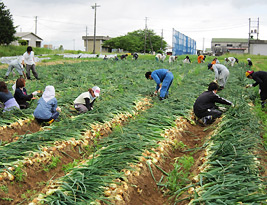 食資源教育研究センターphoto