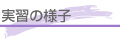 実習の様子