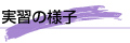 実習の様子