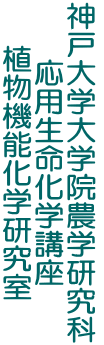 _ˑww@_w pwu A@\w
