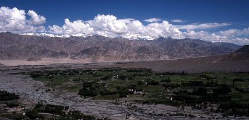 Ladak-oasis