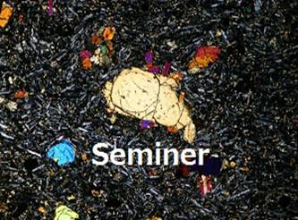 seminer.jpg