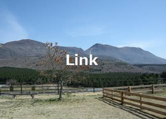 link.jpg
