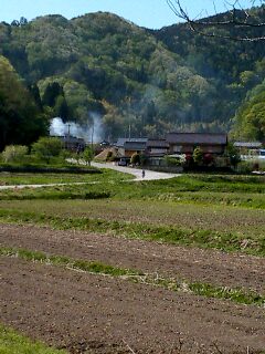 おばあちゃんが歩いています 田園風景