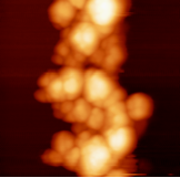 図　白金ナノ粒子を光電着したTiO2表面の原子間力顕微鏡画像。画像サイズ：500 nm四方